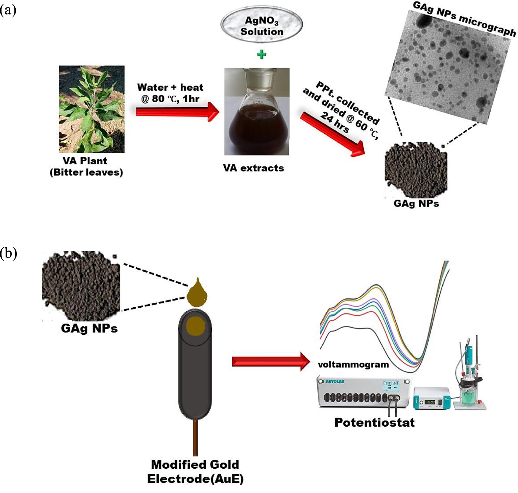 Detection of sunset yellow in food at biomediated Ag nanoparticle-based ...