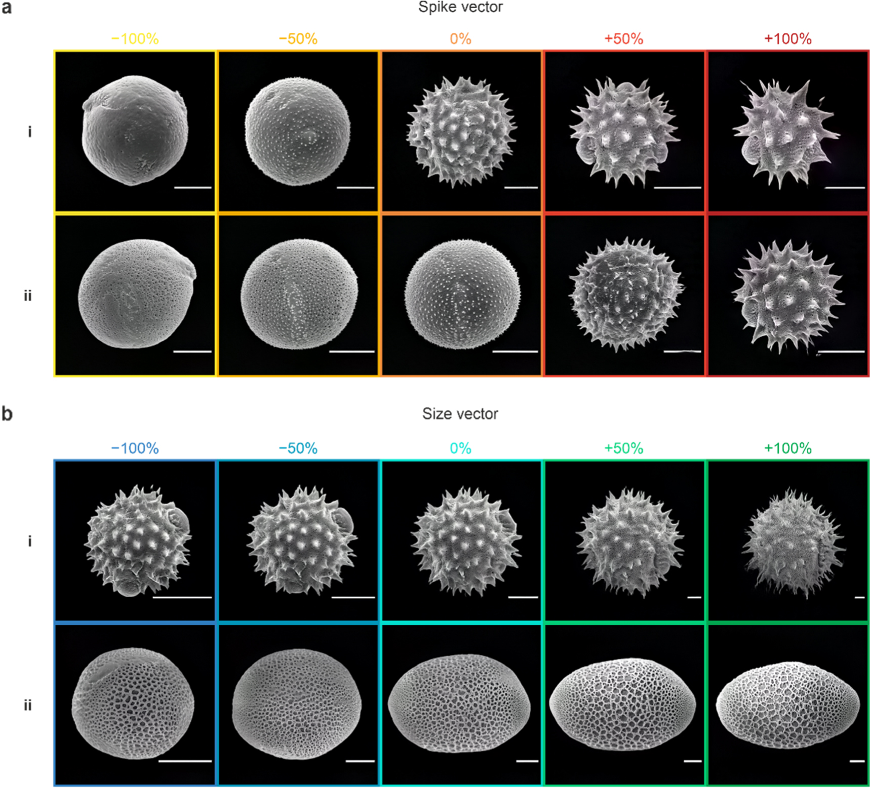 Morphology exploration of pollen using deep learning latent space ...