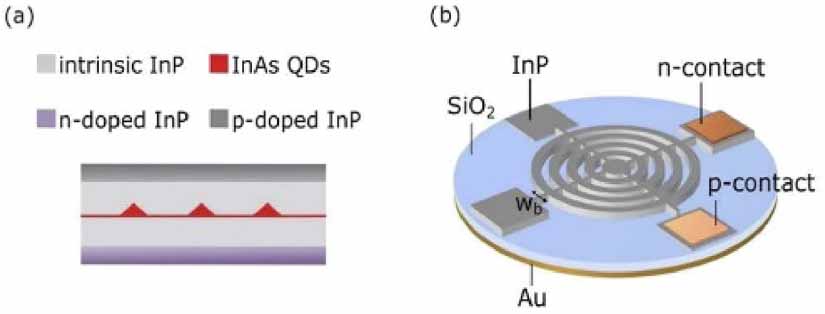 Fiber-coupled quantum light sources based on solid-state quantum ...