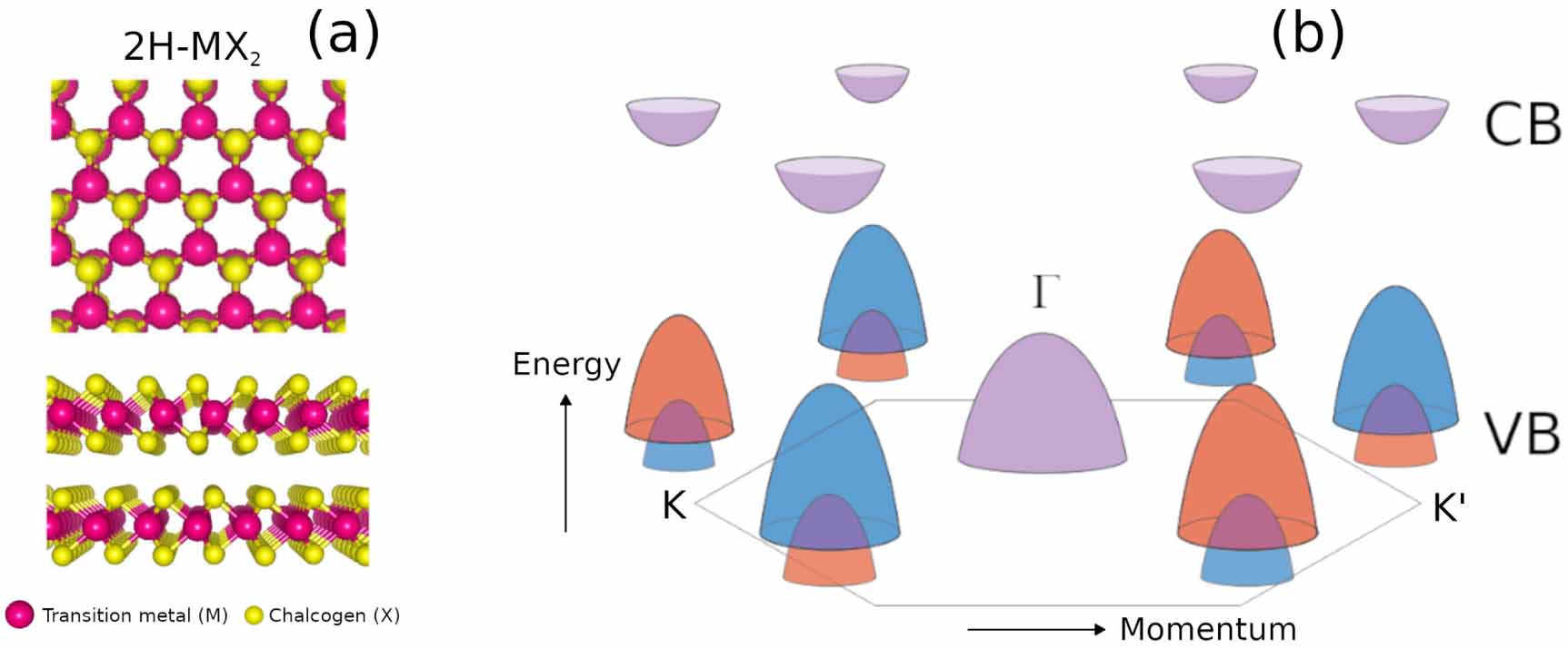 Band structure and spin texture of 2D materials for valleytronics ...