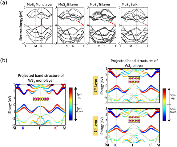 Band structure and spin texture of 2D materials for valleytronics ...