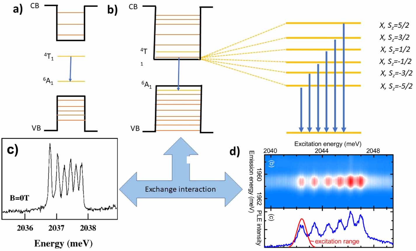 Singly doped colloidal quantum dots as optically addressed ...