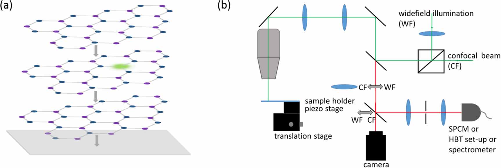 Properties of quantum emitters in different hBN sample types ...