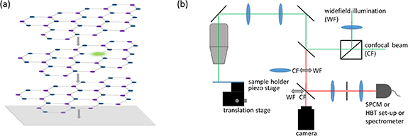 Properties of quantum emitters in different hBN sample types ...