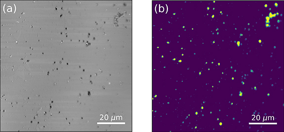 Properties of quantum emitters in different hBN sample types ...