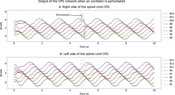 A spiking central pattern generator for the control of a simulated ...