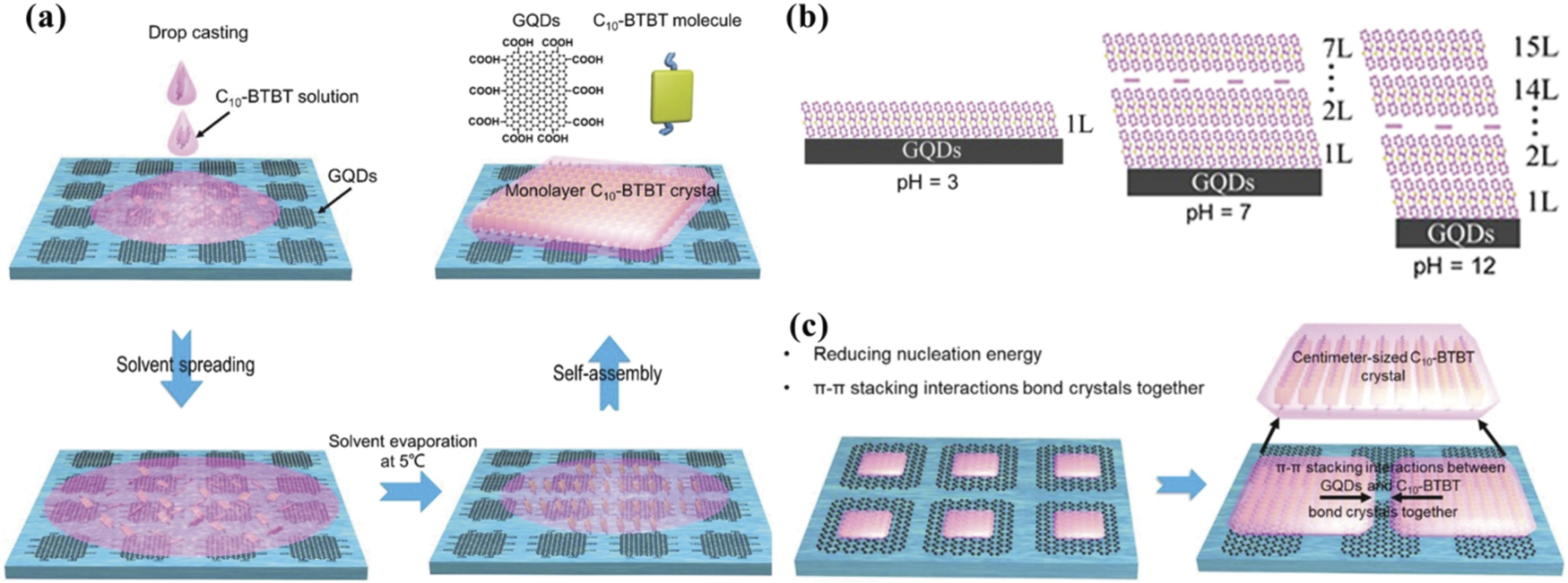 Evolutionary 2D organic crystals for optoelectronic transistors and ...