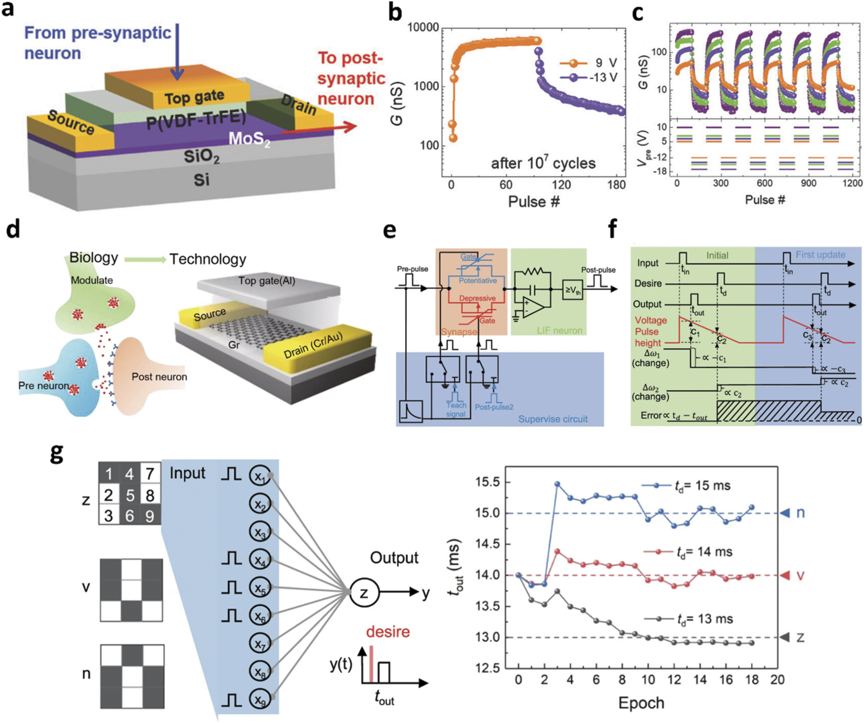 Ferroelectric memory based on two-dimensional materials for ...
