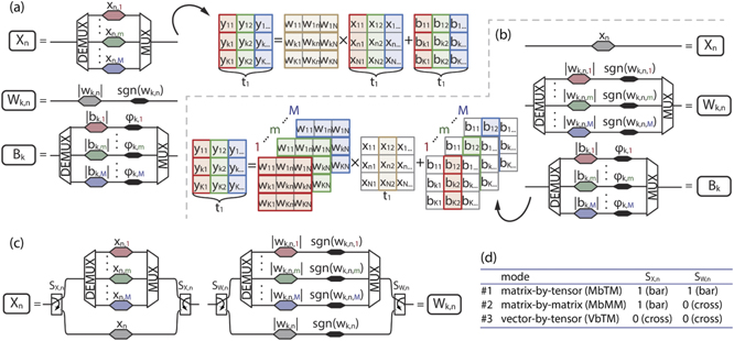 Figure 3. Refer to the following caption and surrounding text.