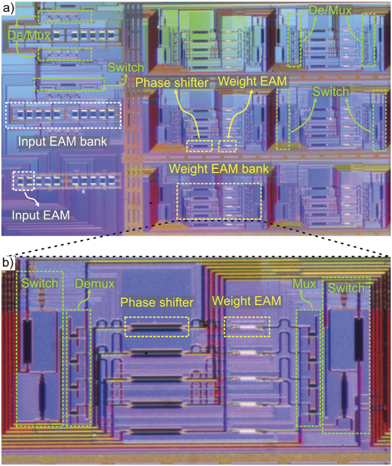 Figure 4. Refer to the following caption and surrounding text.