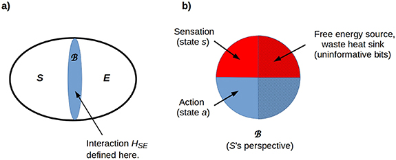 Figure 1. Refer to the following caption and surrounding text.