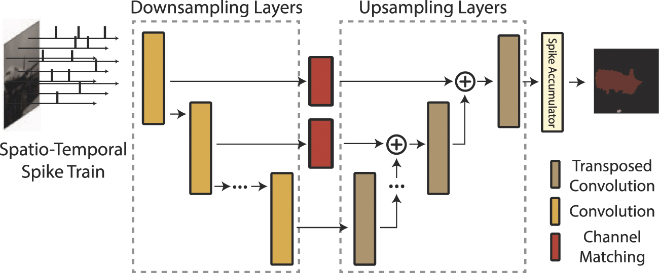 Beyond classification: directly training spiking neural networks for ...