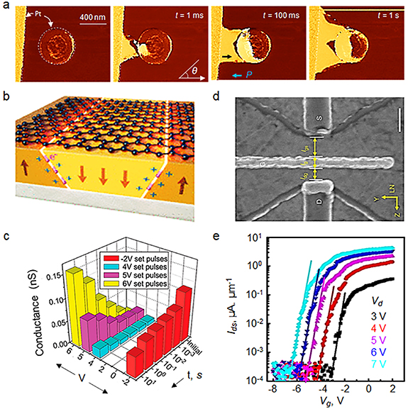 Neuromorphic functionality of ferroelectric domain walls - IOPscience