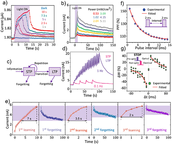 Recent progress in optoelectronic memristors for neuromorphic and in ...