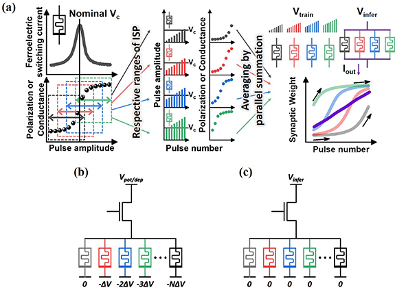 Figure 1. Refer to the following caption and surrounding text.