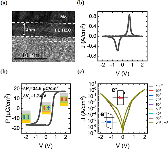Figure 2. Refer to the following caption and surrounding text.