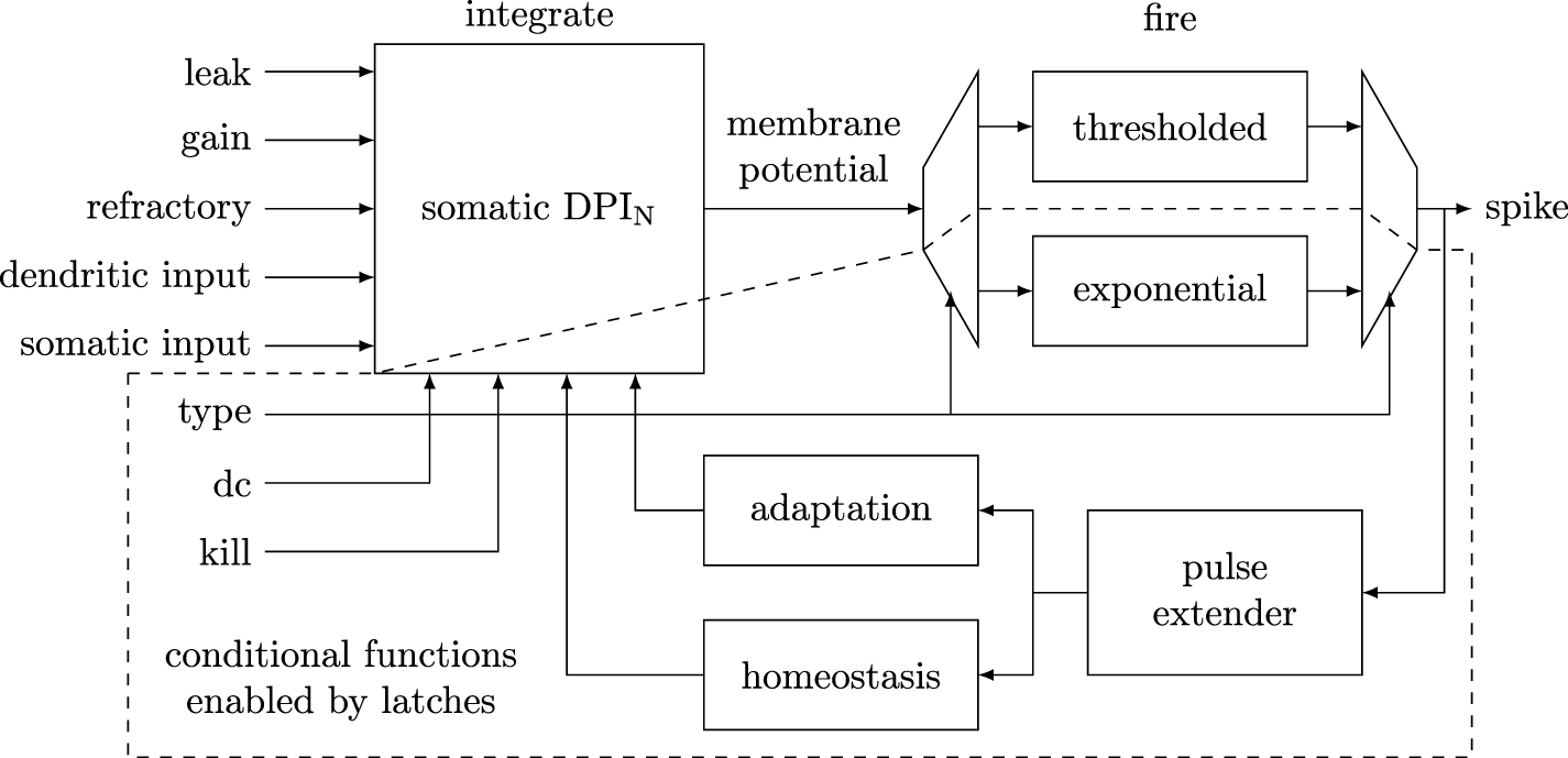 DYNAP-SE2: a scalable multi-core dynamic neuromorphic asynchronous ...