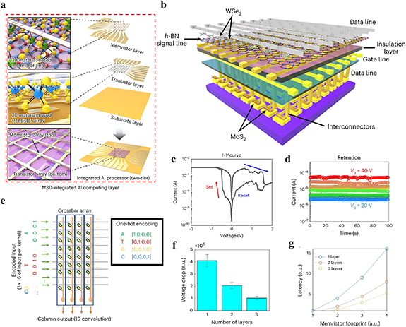 2D materials-based crossbar array for neuromorphic computing hardware ...