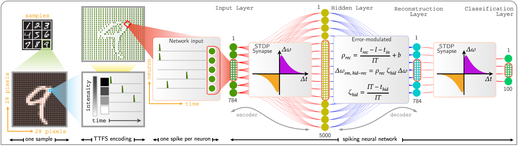 Efficient sparse spiking auto-encoder for reconstruction, denoising and ...