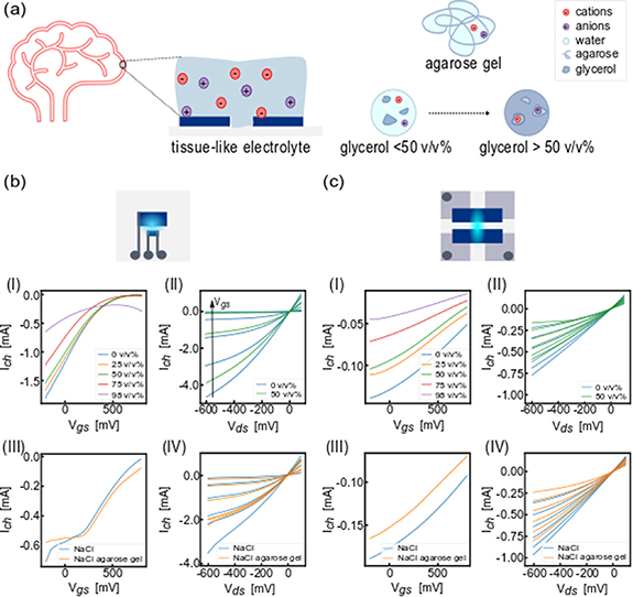 Figure 1. Refer to the following caption and surrounding text.