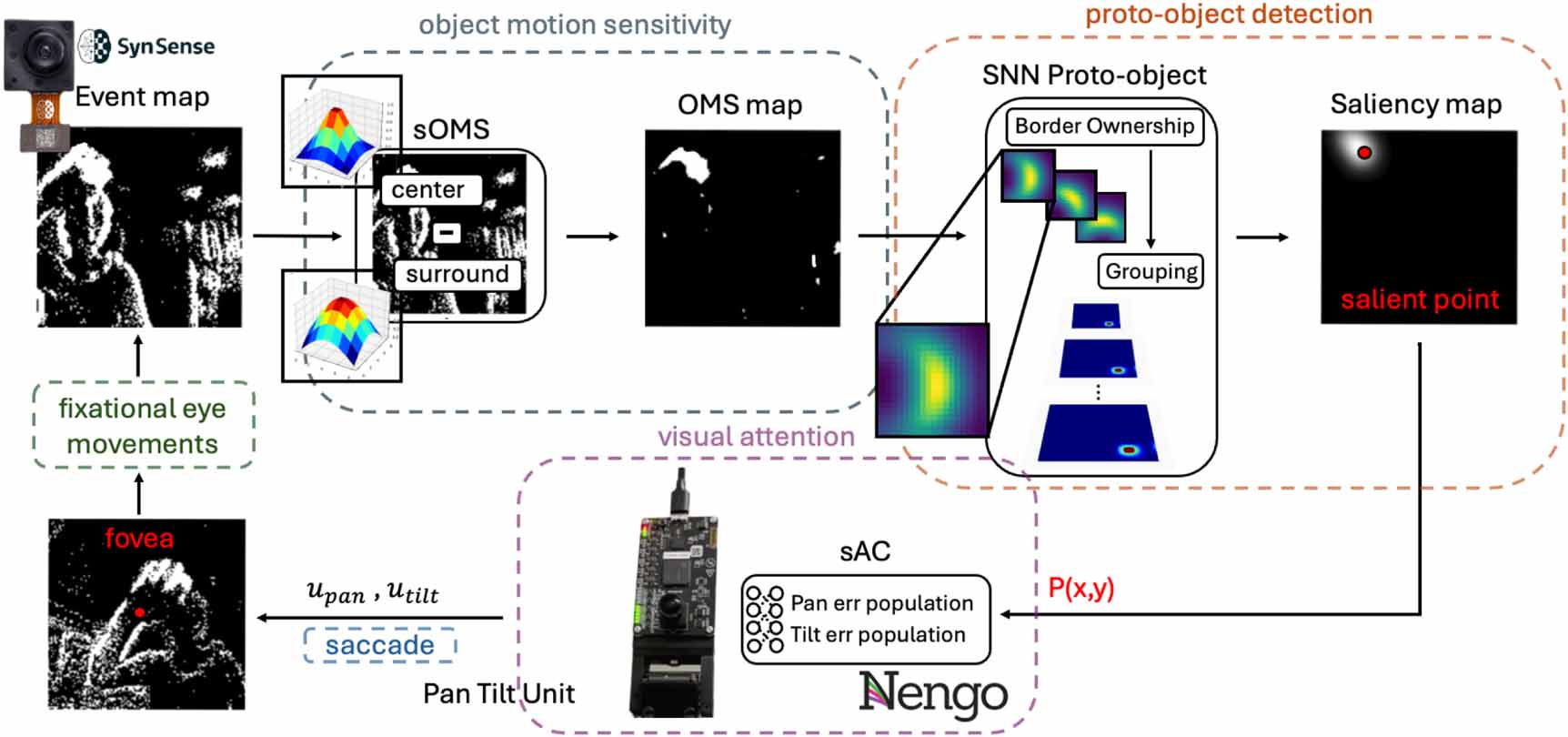Wandering around: a bioinspired approach to visual attention through ...