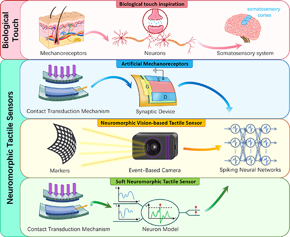 Neuromorphic touch for robotics—a review - IOPscience