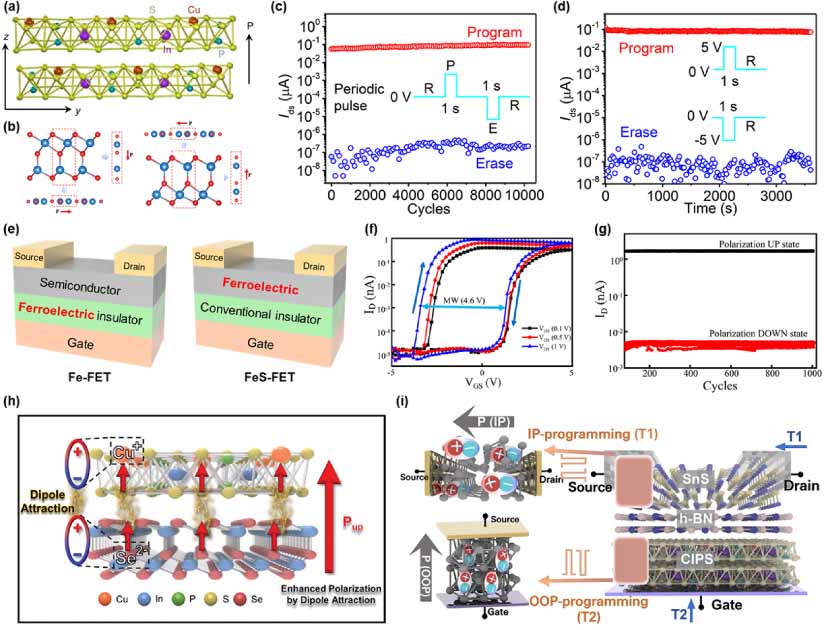 Van der Waals integration of 2D materials for advanced intelligent ...