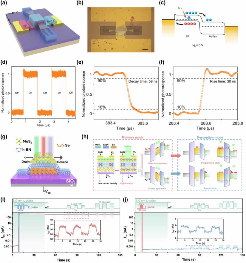Van der Waals integration of 2D materials for advanced intelligent ...
