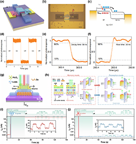 Van der Waals integration of 2D materials for advanced intelligent ...