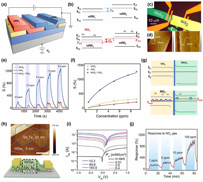 Van der Waals integration of 2D materials for advanced intelligent ...