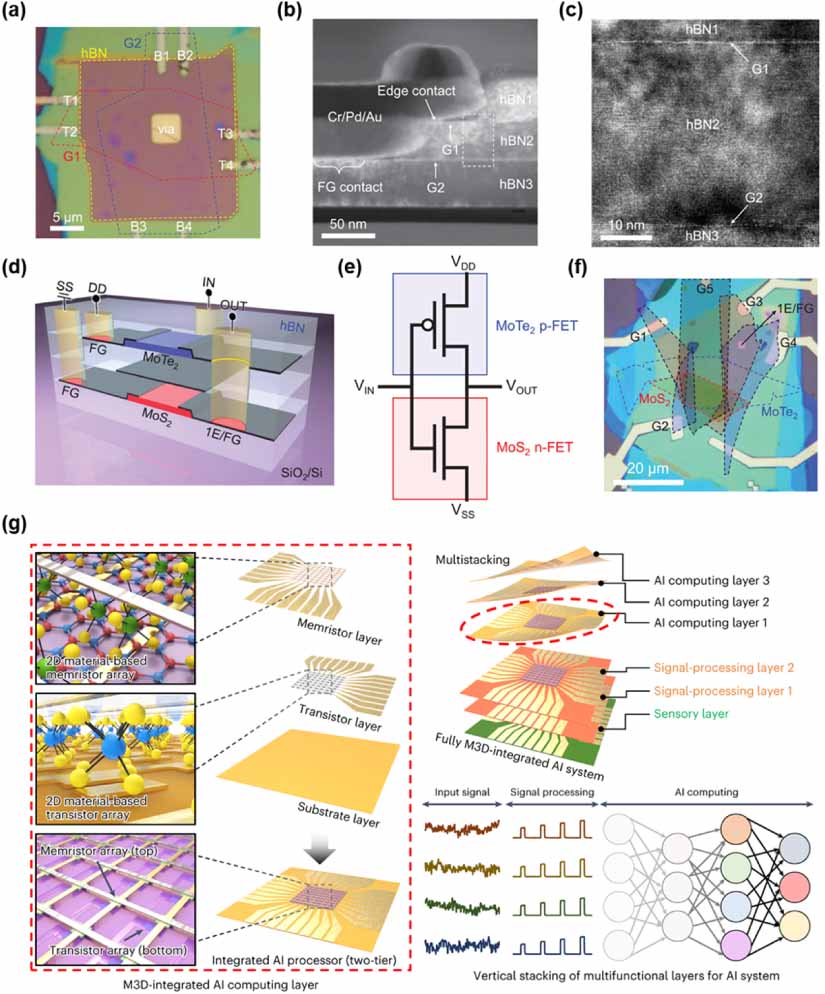 Van der Waals integration of 2D materials for advanced intelligent ...