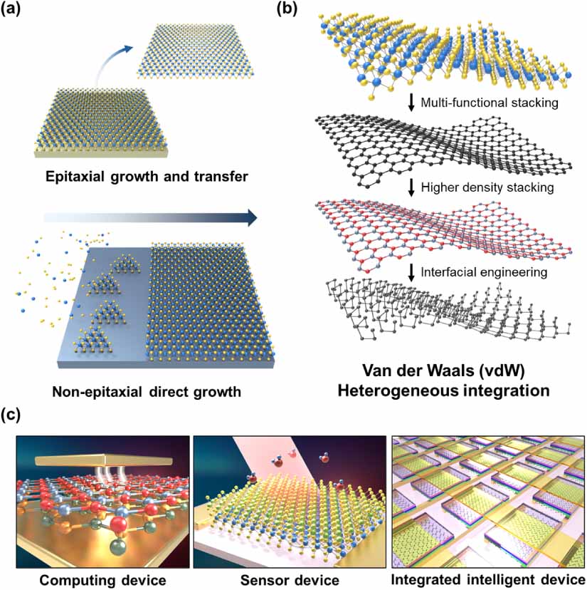 Van der Waals integration of 2D materials for advanced intelligent ...