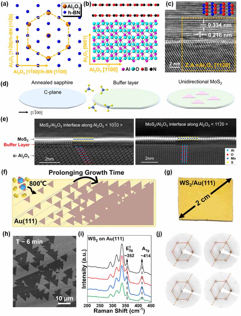 Van der Waals integration of 2D materials for advanced intelligent ...