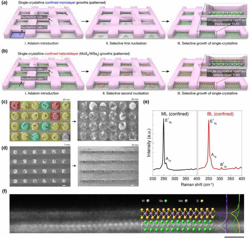 Van der Waals integration of 2D materials for advanced intelligent ...