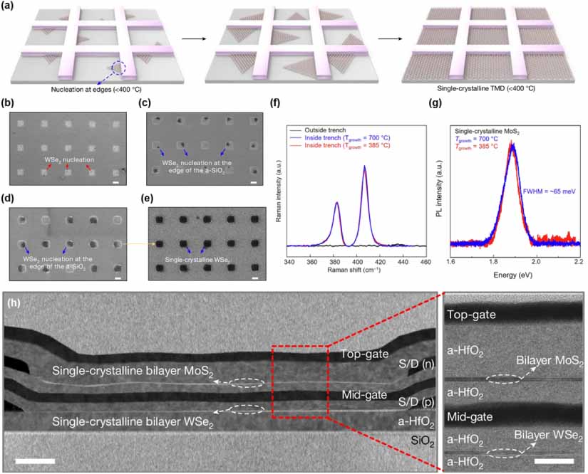 Van der Waals integration of 2D materials for advanced intelligent ...