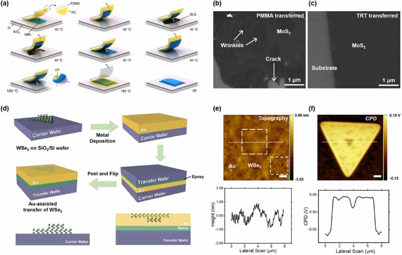 Van der Waals integration of 2D materials for advanced intelligent ...