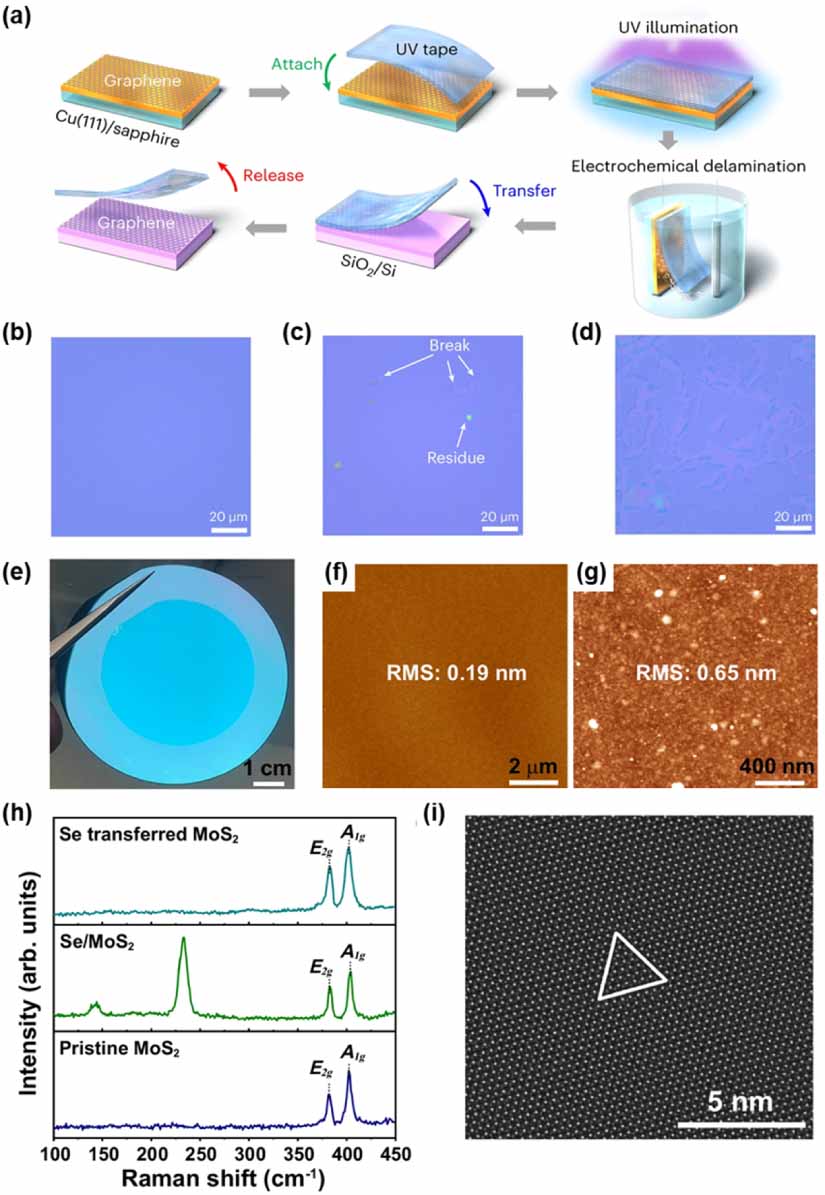 Van der Waals integration of 2D materials for advanced intelligent ...