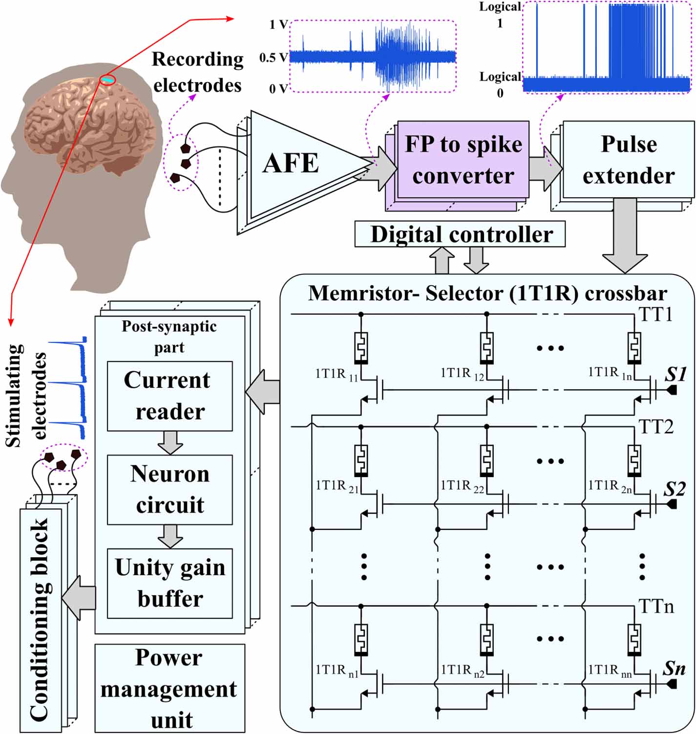 Neuromorphic hardware based on memristive nanodevices for seizure ...