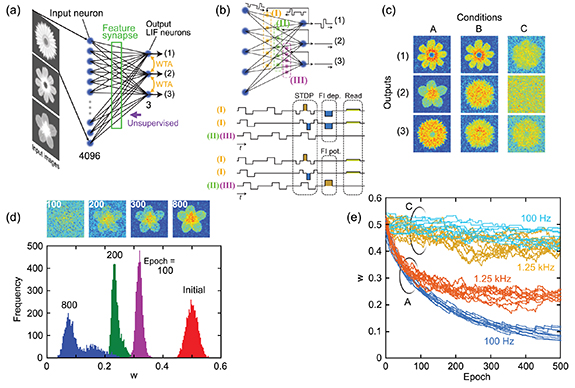 Unsupervised feature learning in spiking neural networks using ...