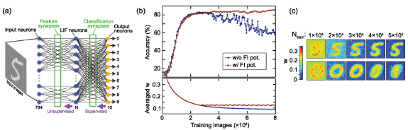 Unsupervised feature learning in spiking neural networks using ...