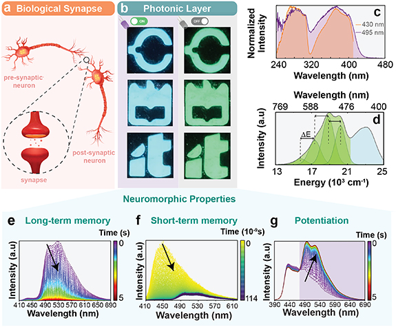 Mobile-compatible neuromorphic optical computing enabled by dual ...