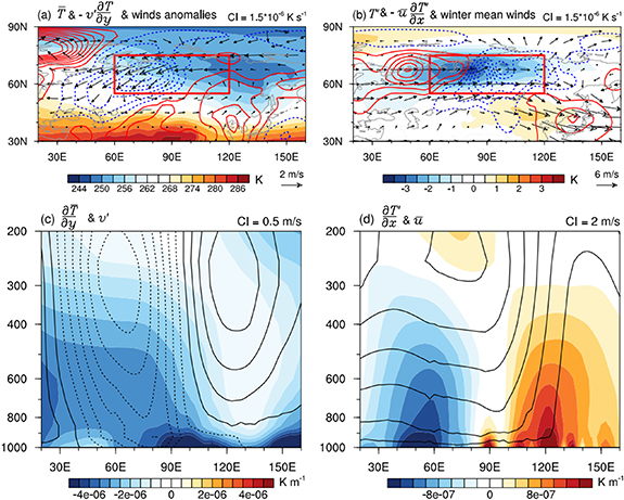 Mechanism of the wintertime subseasonal surface air temperature ...
