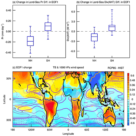 Advances in understanding the changes of tropical rainfall annual cycle ...