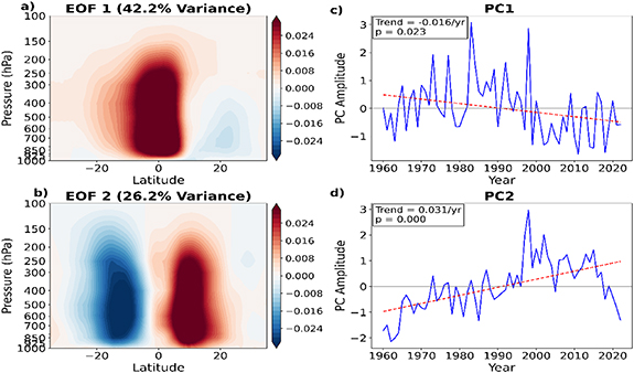 Arctic amplification and modal variability of the Hadley cell on ...