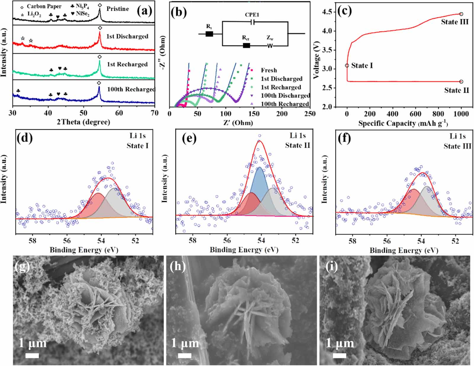 専用ページ2/2 Heterogeneous Electrocatalysts for Metal–CO2 Batteries and