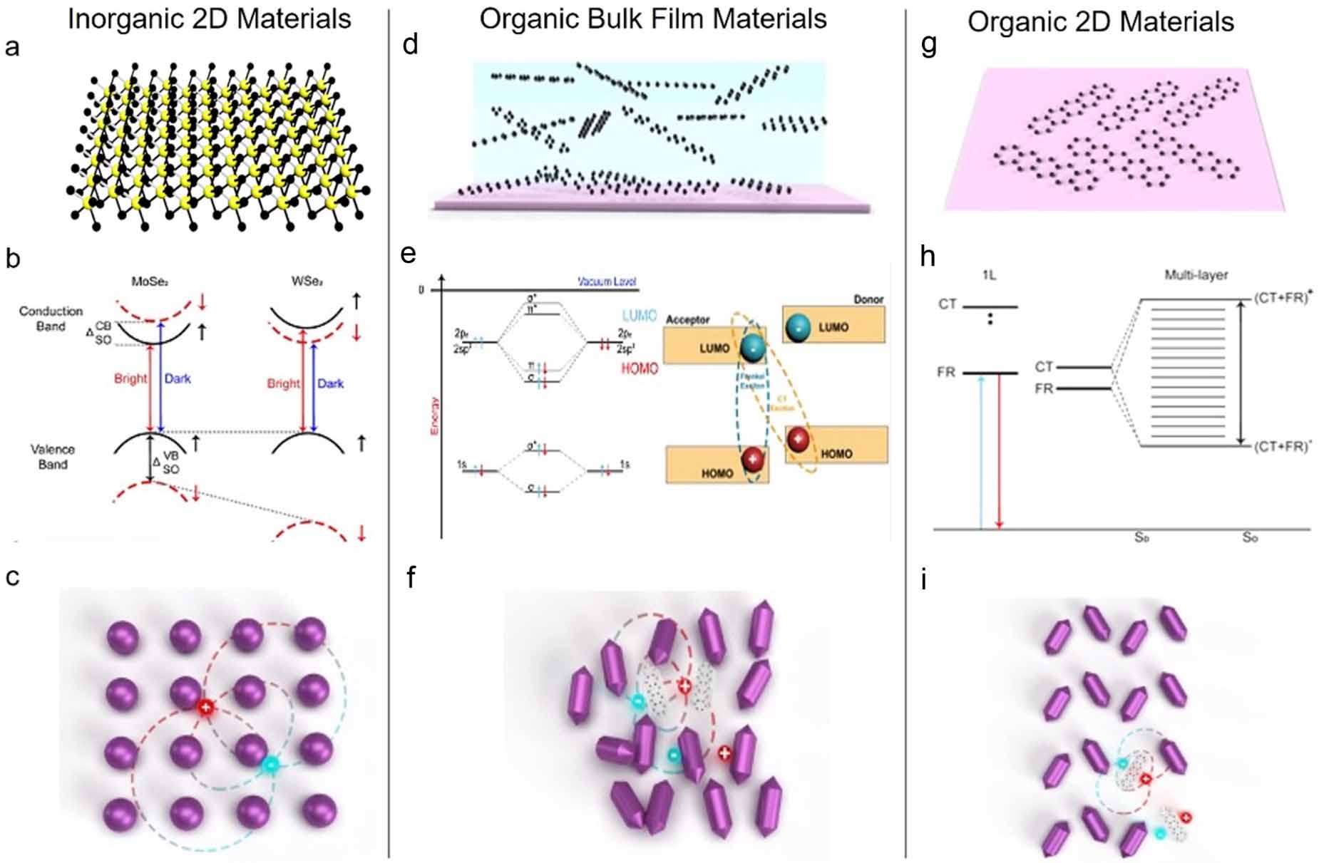Exciton dynamics in 2D organic semiconductors - IOPscience