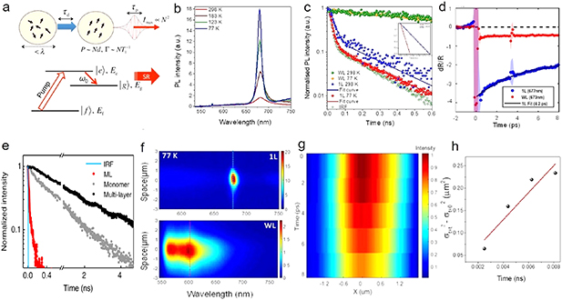 Exciton dynamics in 2D organic semiconductors - IOPscience