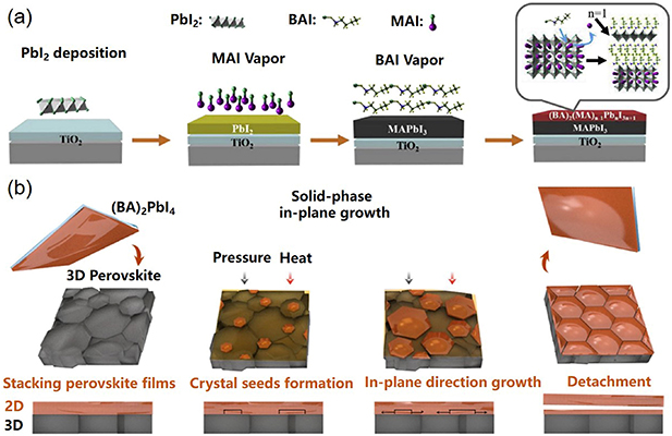 Bilayer metal halide perovskite for efficient and stable solar cells ...