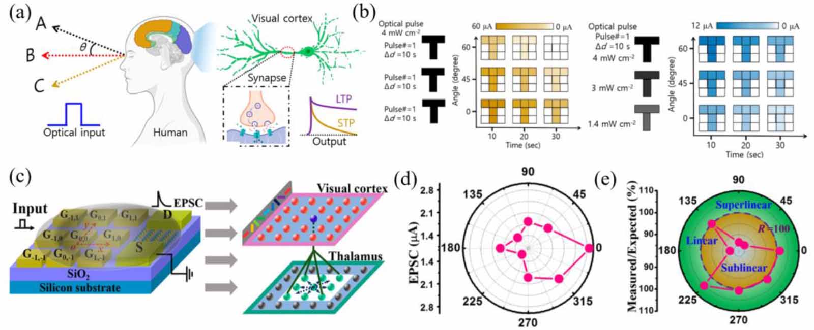 Low-dimensional optoelectronic synaptic devices for neuromorphic