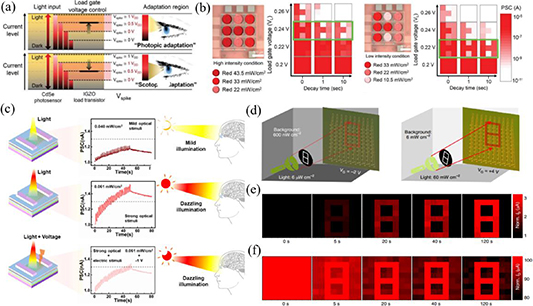 Low-dimensional optoelectronic synaptic devices for neuromorphic vision ...
